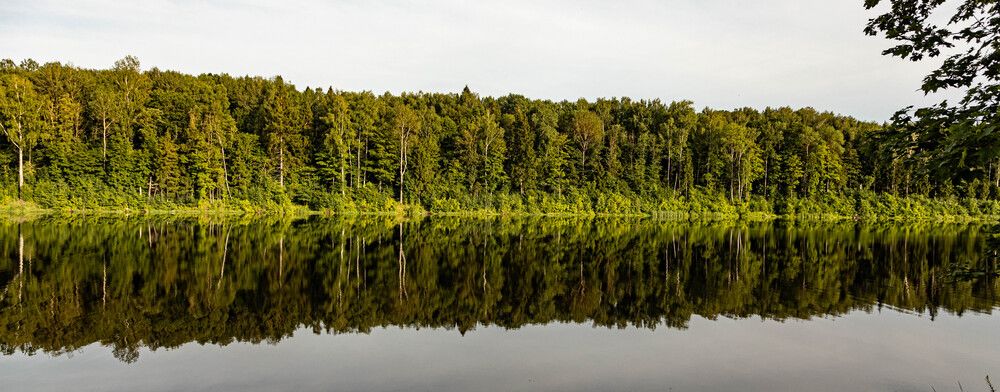 Фотография автора Екатерина Счасная