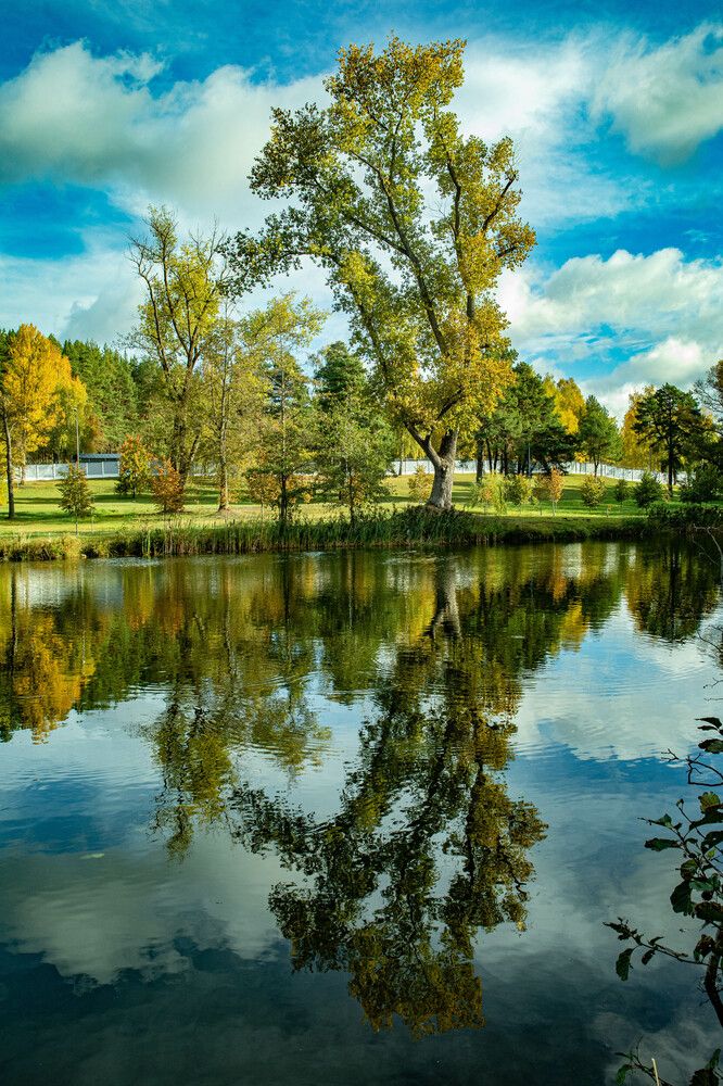 Фотография автора Екатерина Счасная