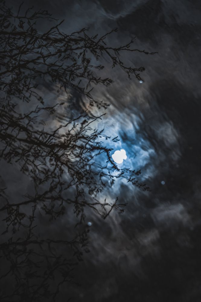 Photograph by Victoria Mogulyan