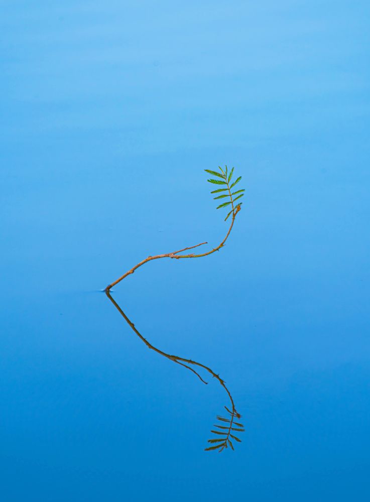 Photograph by Duc Nguyen