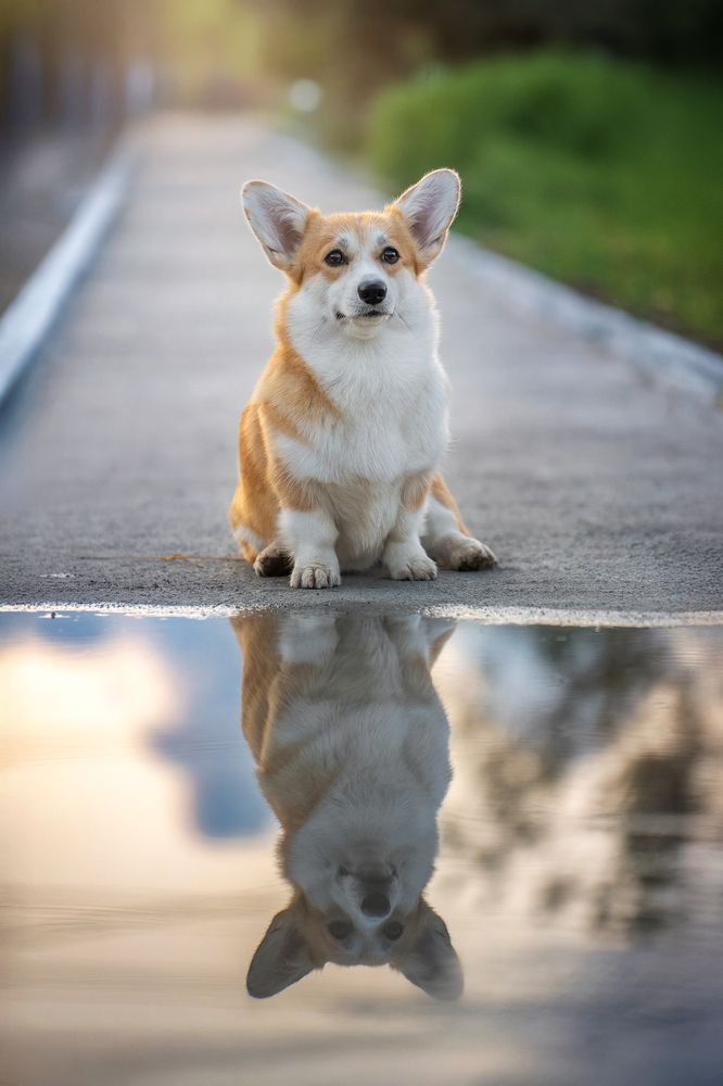 Photograph by Наталья Орел