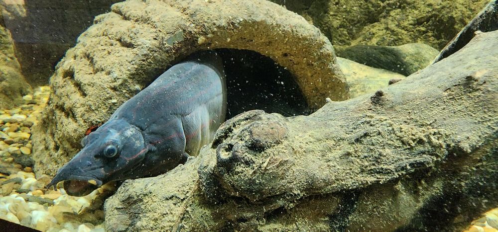 Photograph by Tatiana Denisova