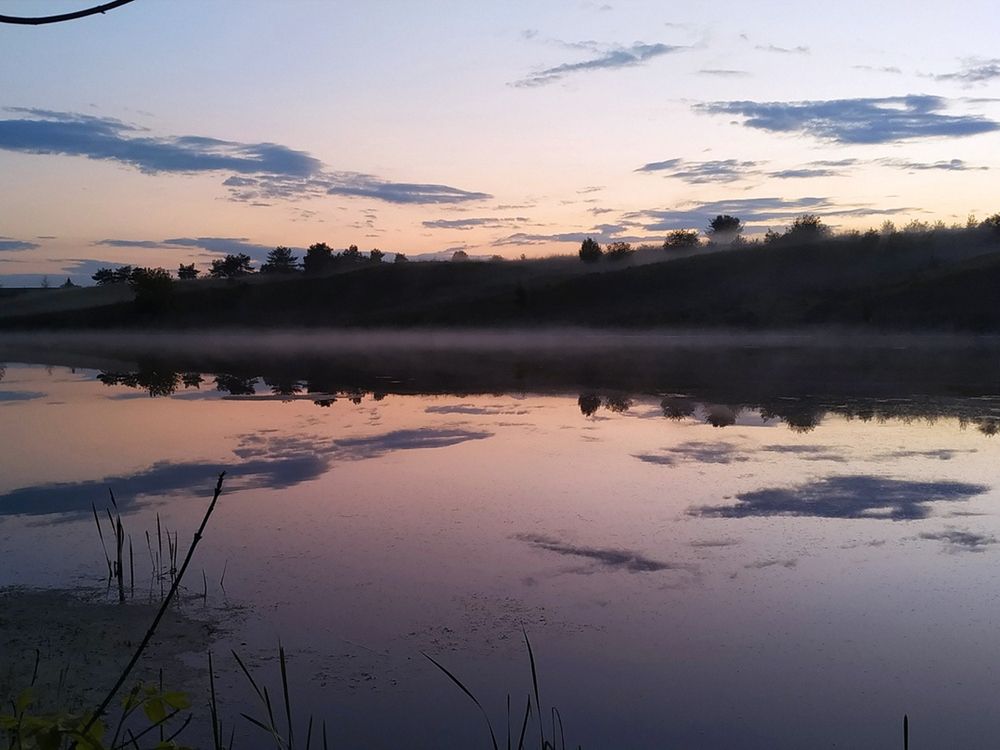 Баттерфляй