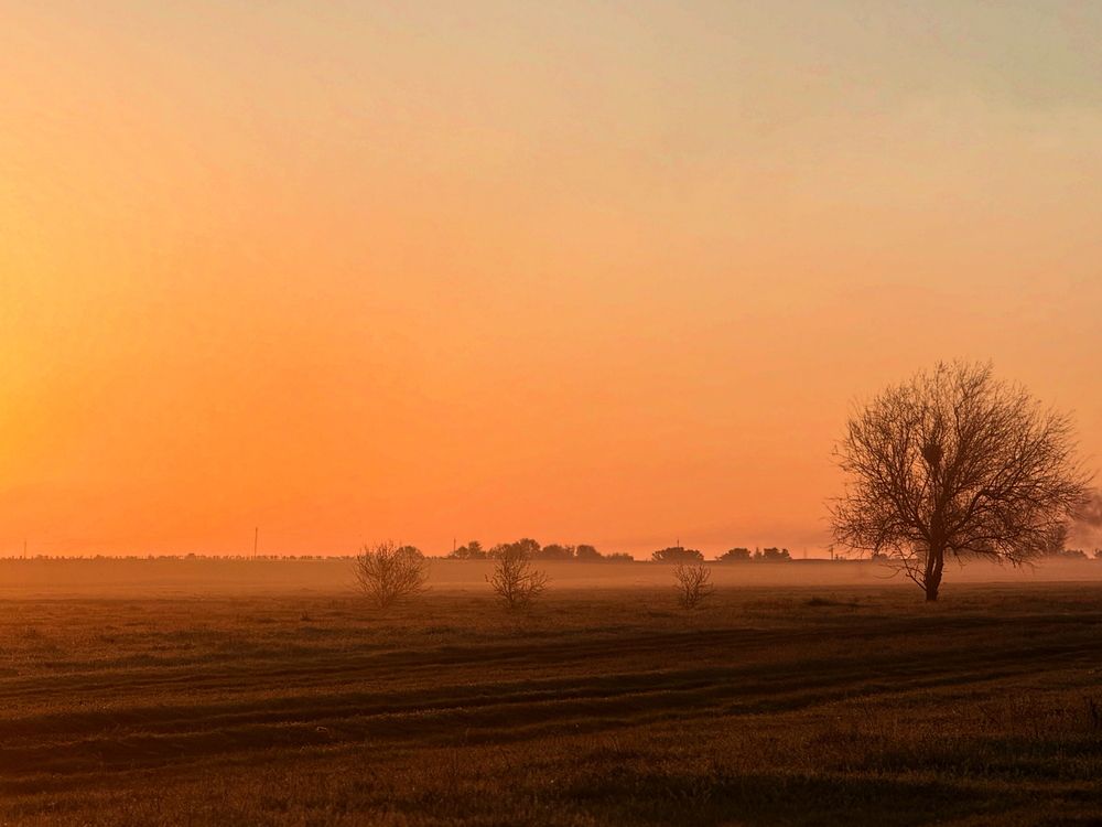 Photograph by Александр