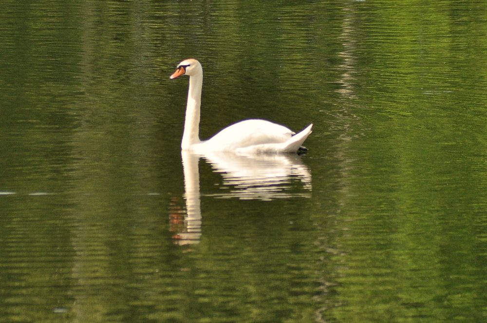 Photograph by Николай Леухин