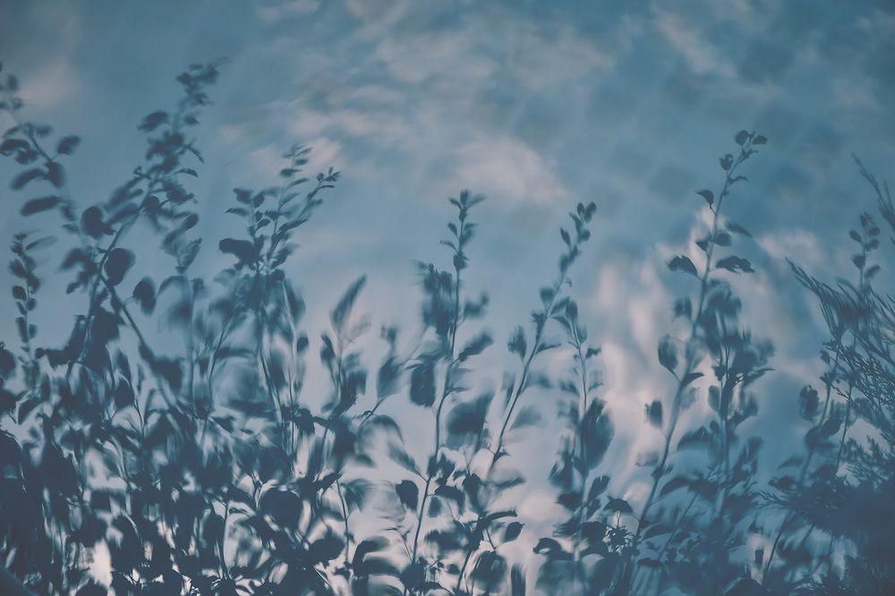 When the wind blows