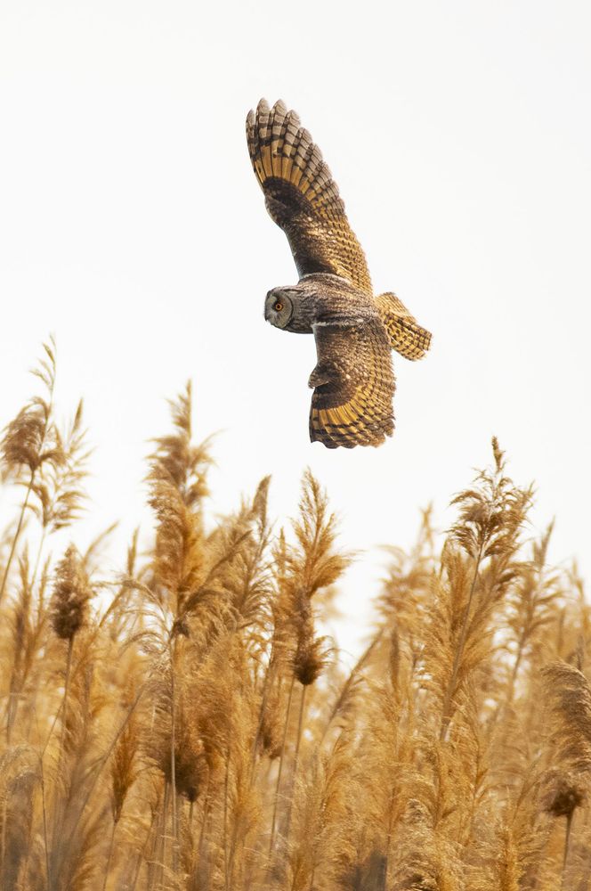 Photograph by Gurdina Lena