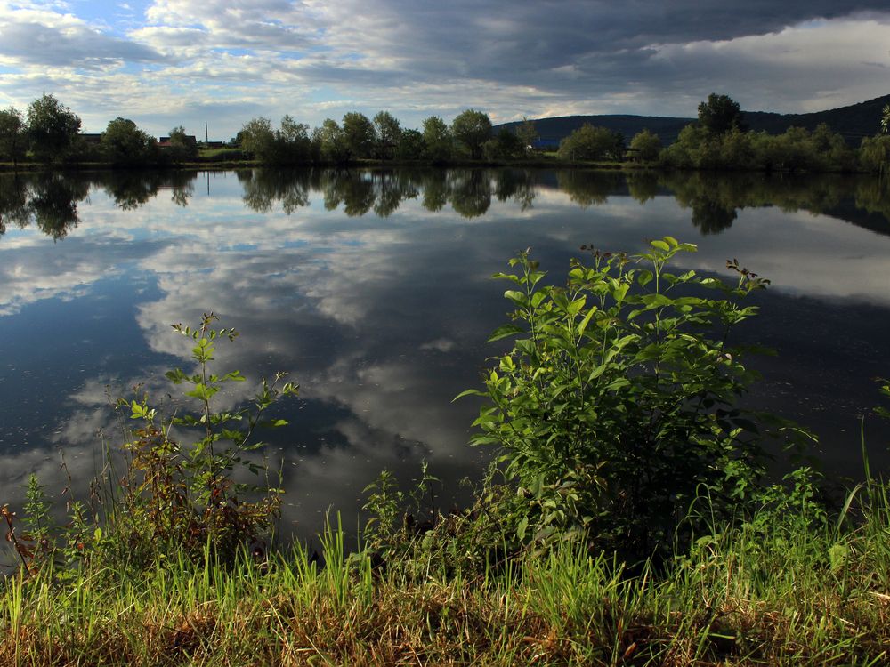 Фотография автора Татьяна Сергиенко