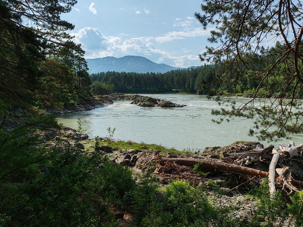 Фотография автора Андрей Данильсон