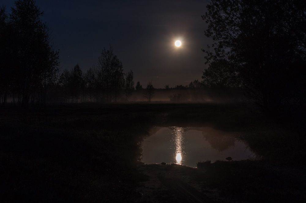 Photograph by Ольга Сергеенко