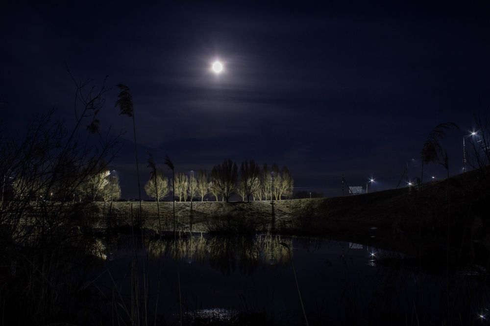 Photograph by Ольга Сергеенко