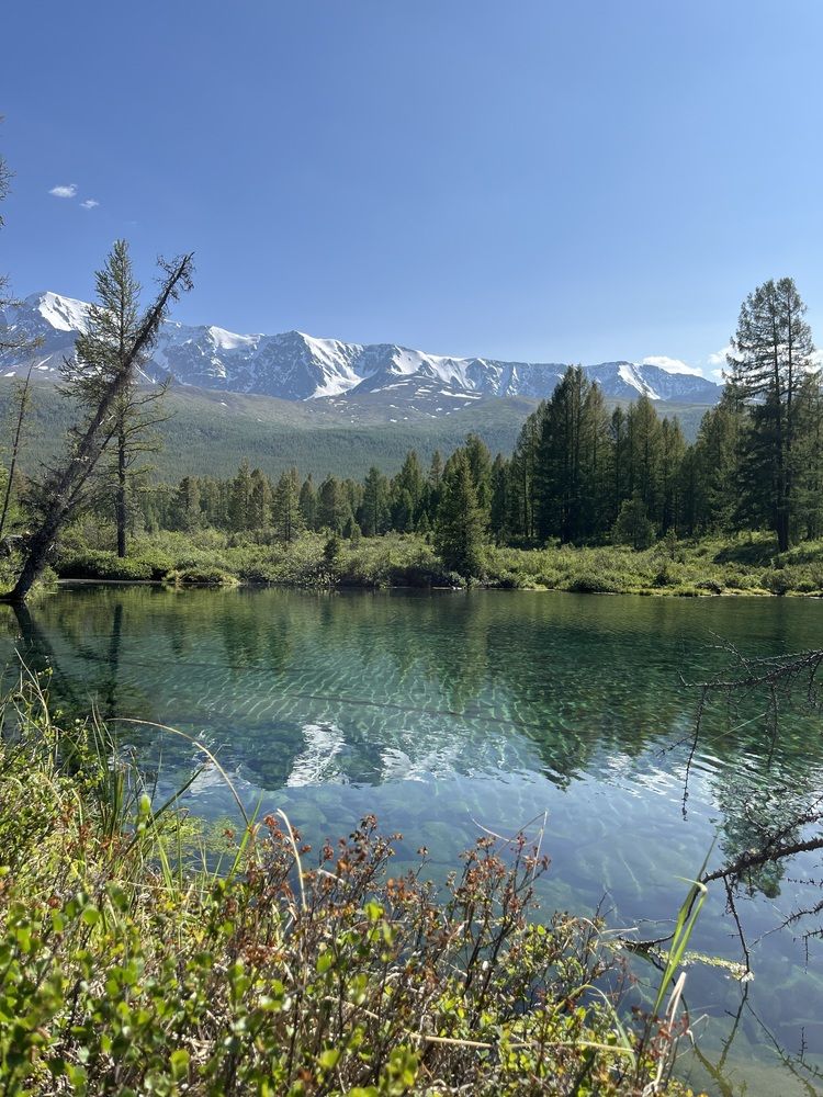 Фотография автора Наталья Пасечко