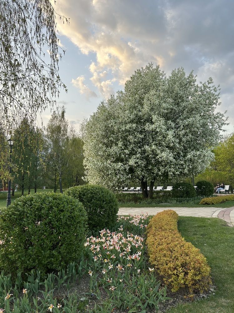 Photograph by Светлана Колышева