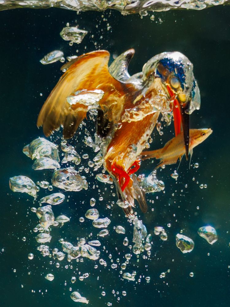 Photograph by Bui Trong Nghia