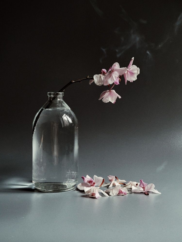 Photograph by Алина