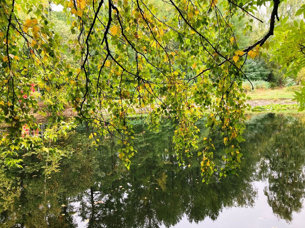 Photograph by Светлана Парамонова