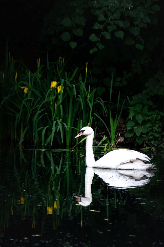 Photograph by Ольга