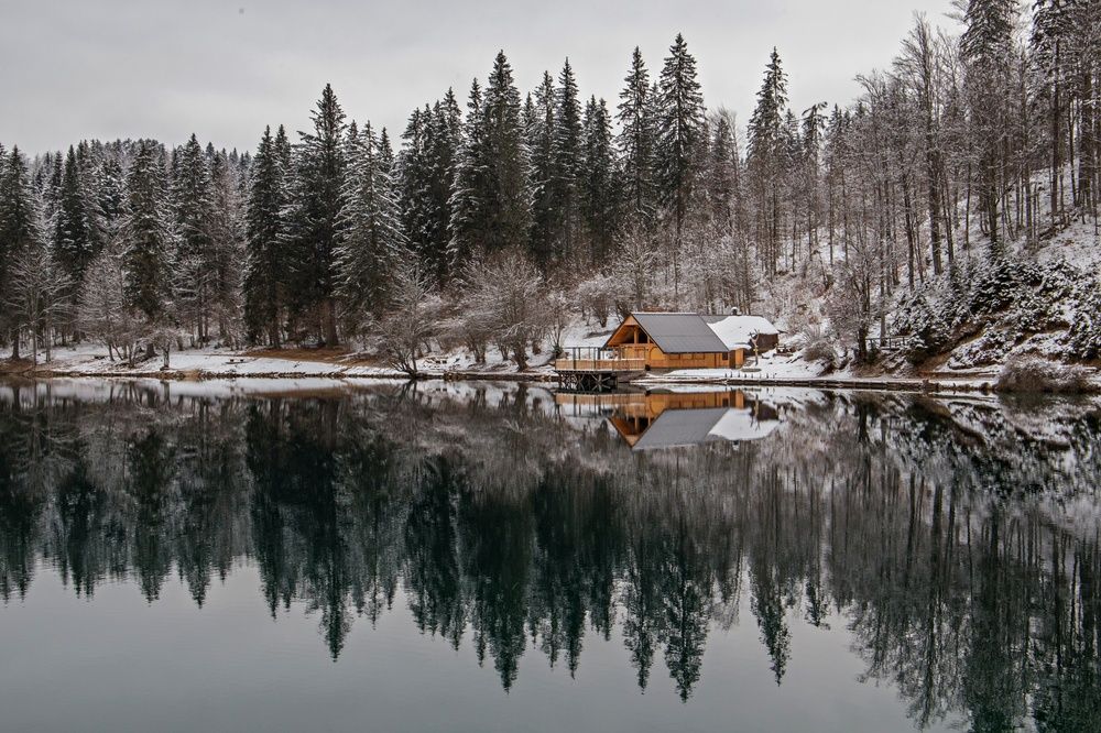 Photograph by Natalia Bondarenko