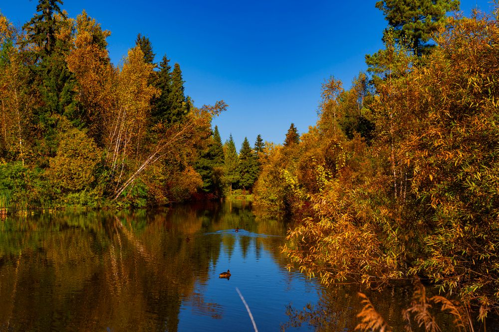Photograph by Евгений Авдеев