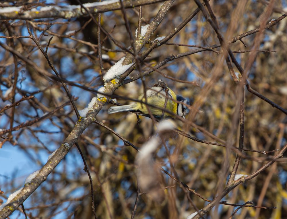 Фотография автора Алина Руденко