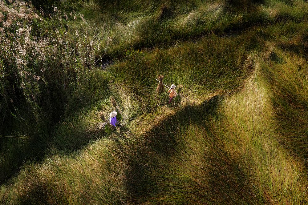 Photograph by Le Nhat Quang