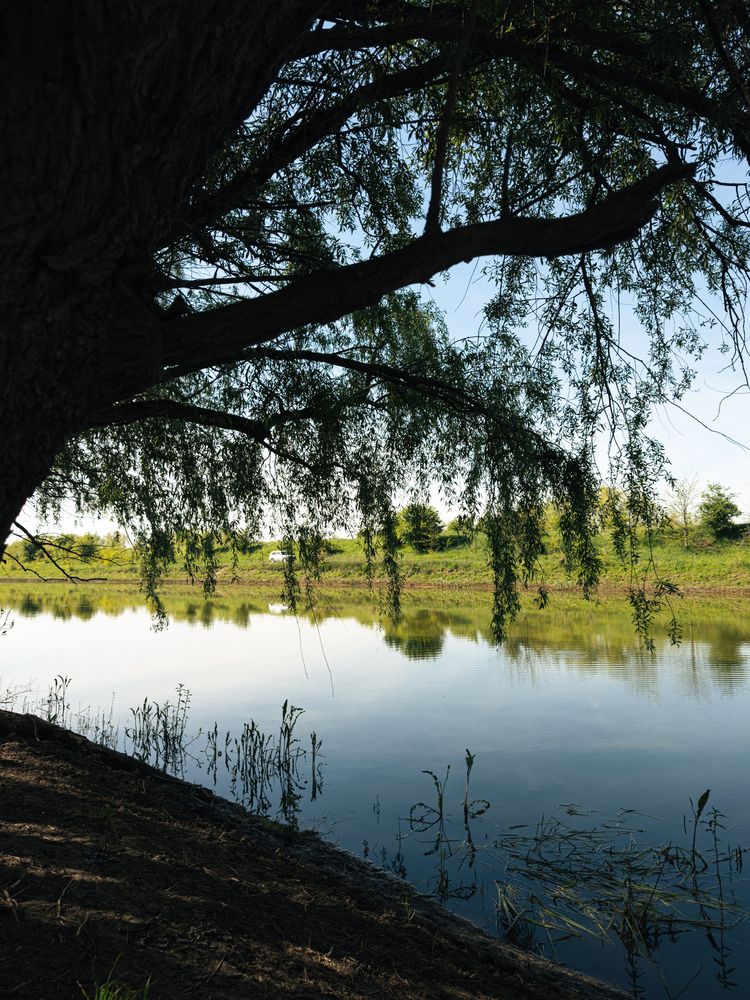 Photograph by Анна Голубцова