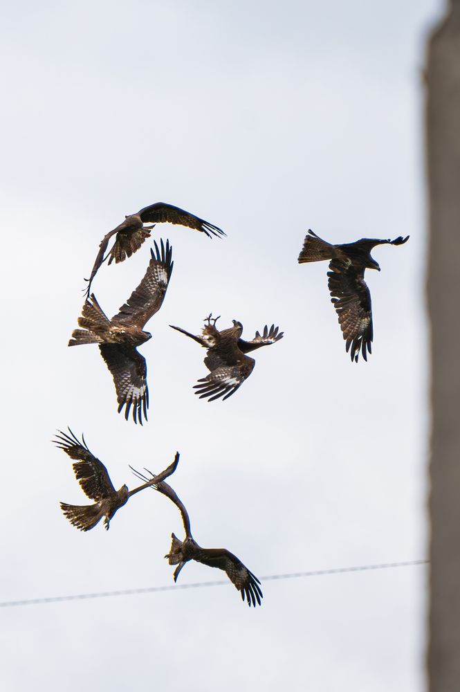 Photograph by Андрей Бородкин