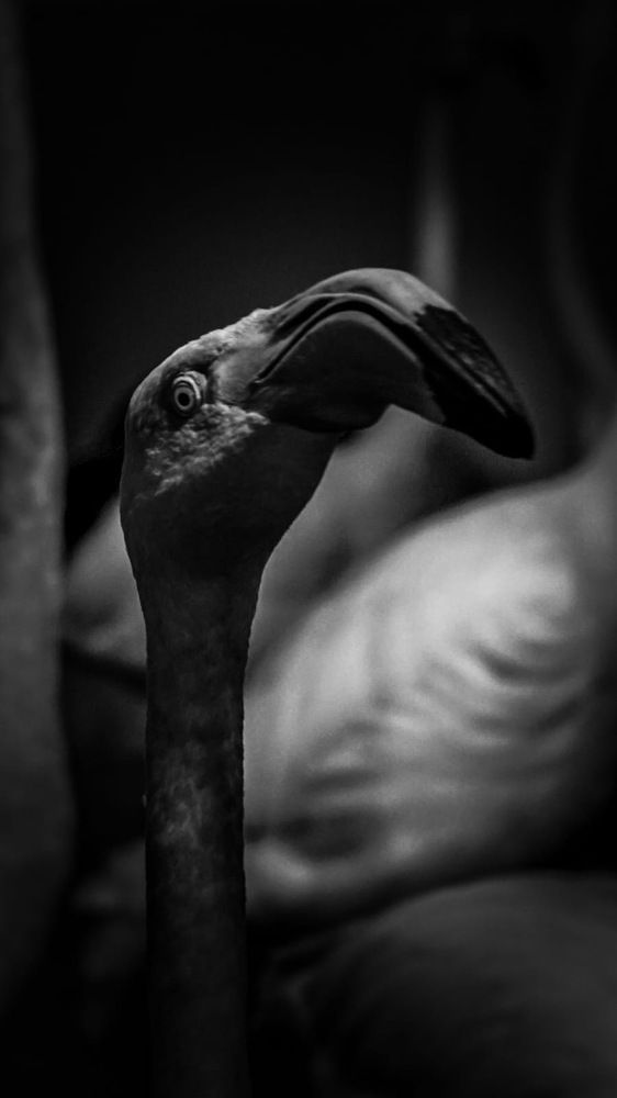 Фотография автора Sotiris Makrygiannis