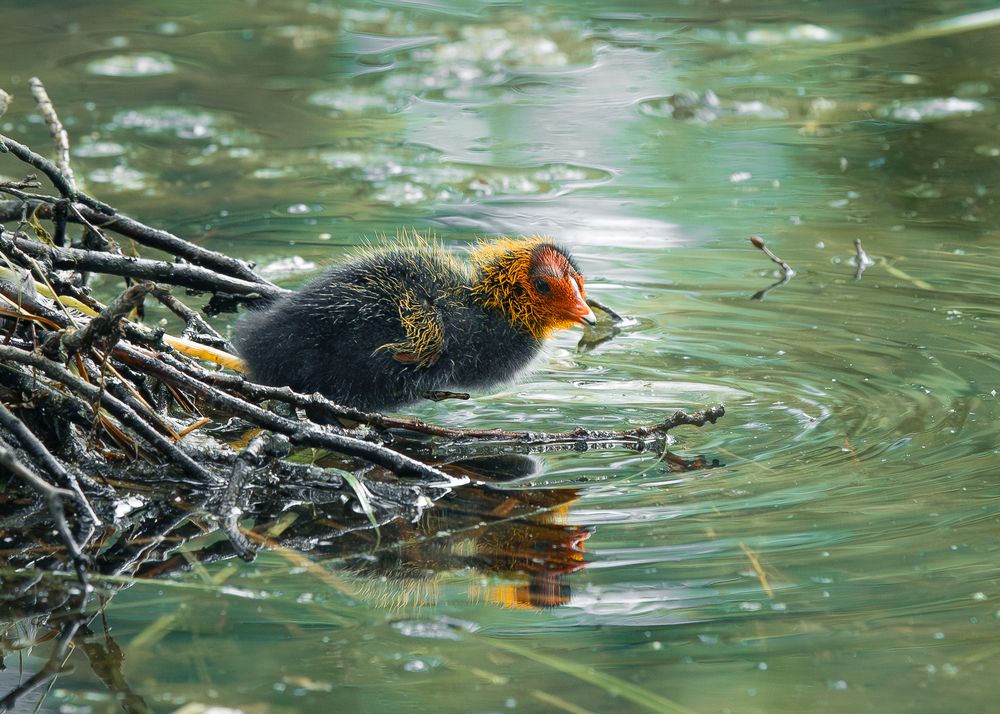 Photograph by Иван Михайленко