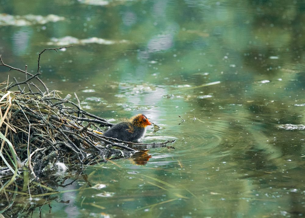 Photograph by Иван Михайленко