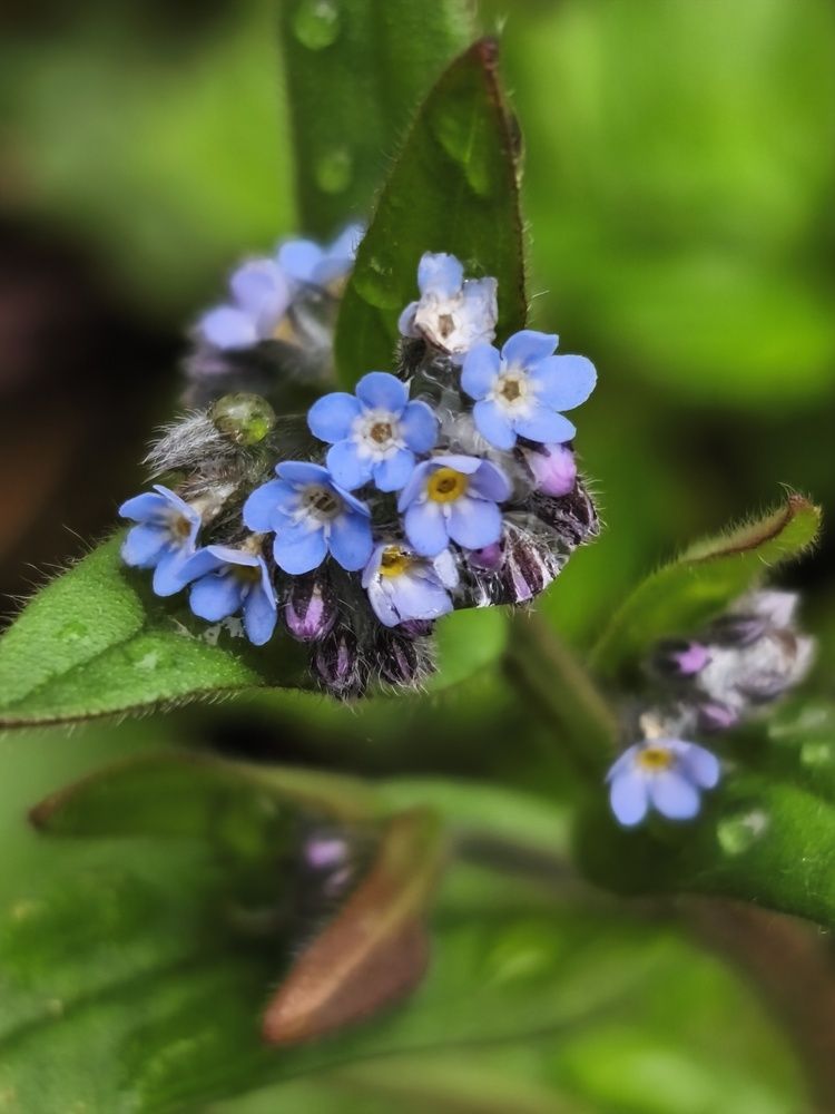 Photograph by Янина Милош