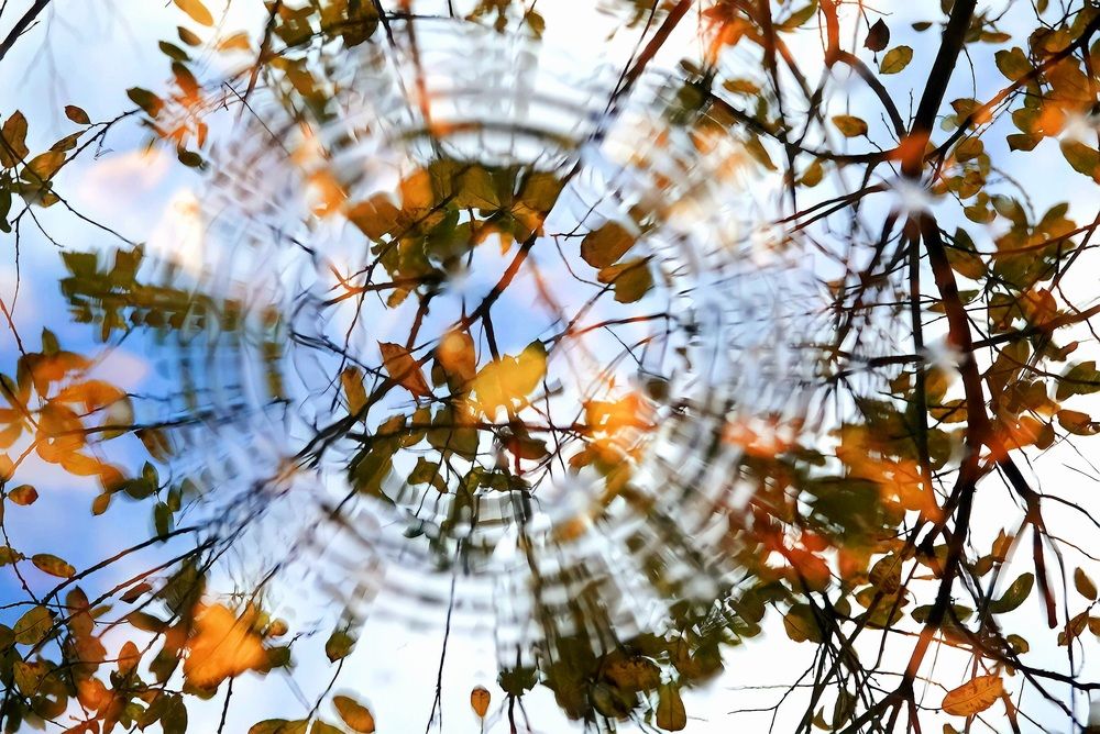 Photograph by Thierry Lagnel