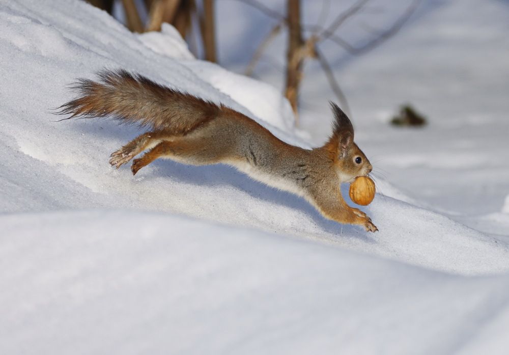 Photograph by Сергей Маслов
