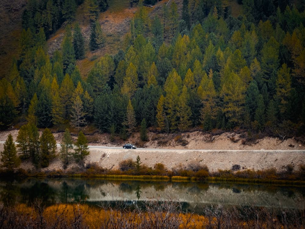 Colors of autumn Altai