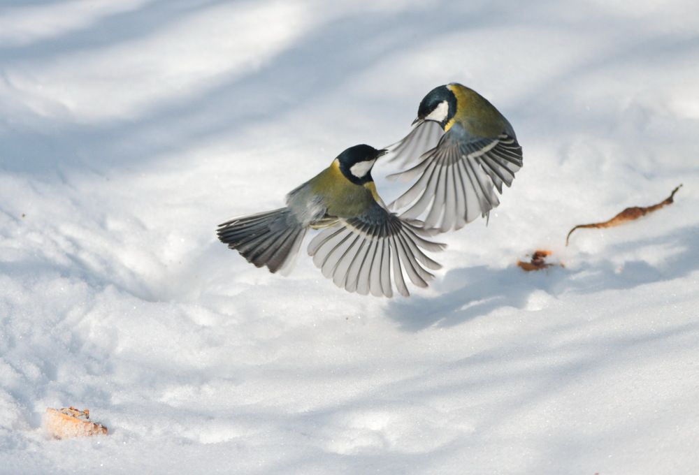 Photograph by Сергей Маслов