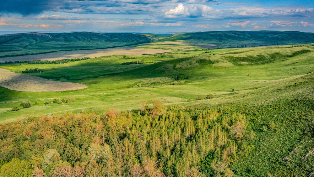 Photograph by Николай Михалев