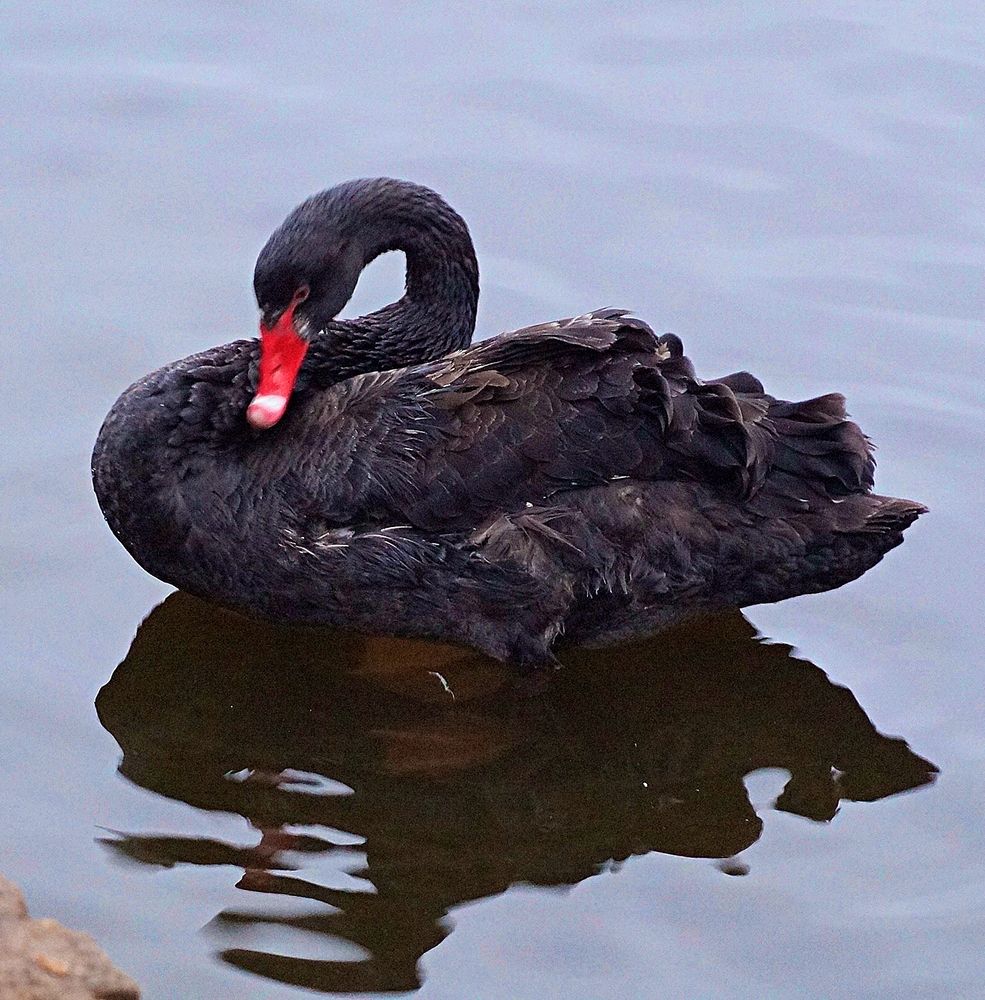 Photograph by Светлана Логинова