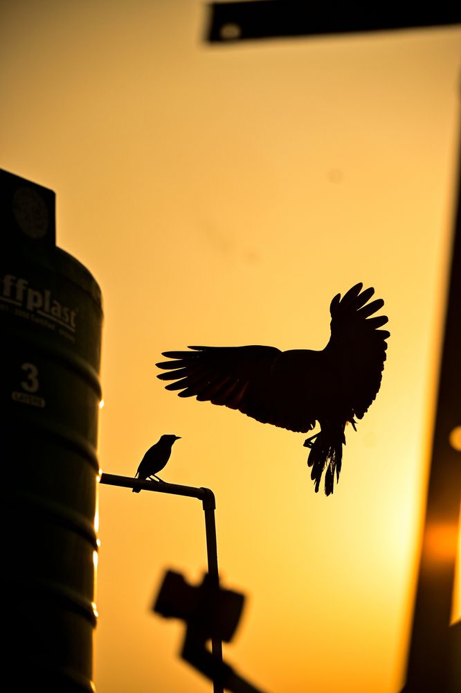 Photograph by Amit Prasad