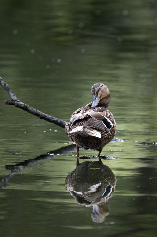 Photograph by Ольга