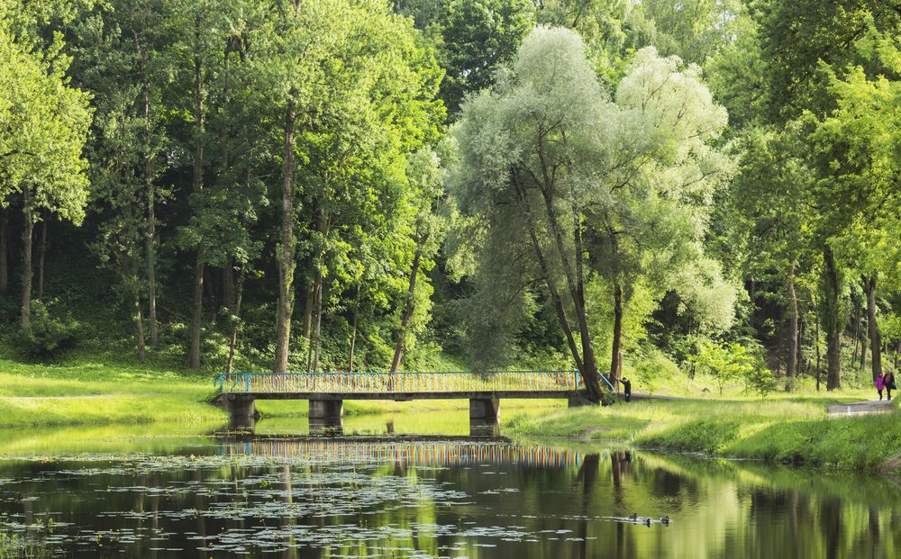 Photograph by Alexandra Chalova