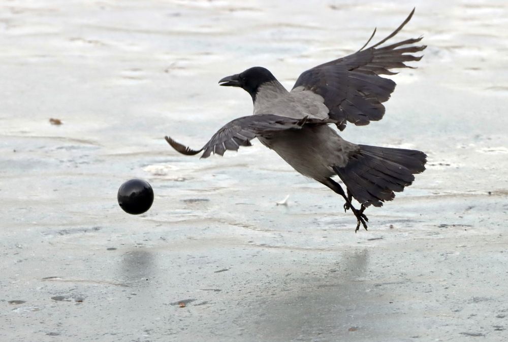 Photograph by Сергей Маслов