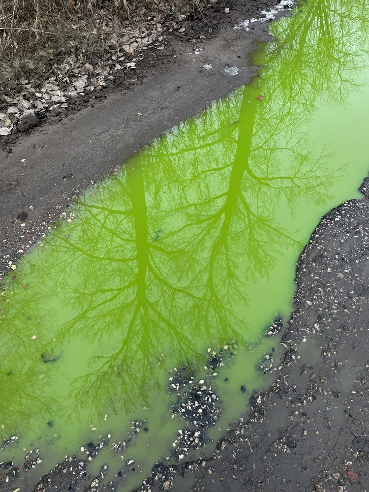 Photograph by Юлия Иванова