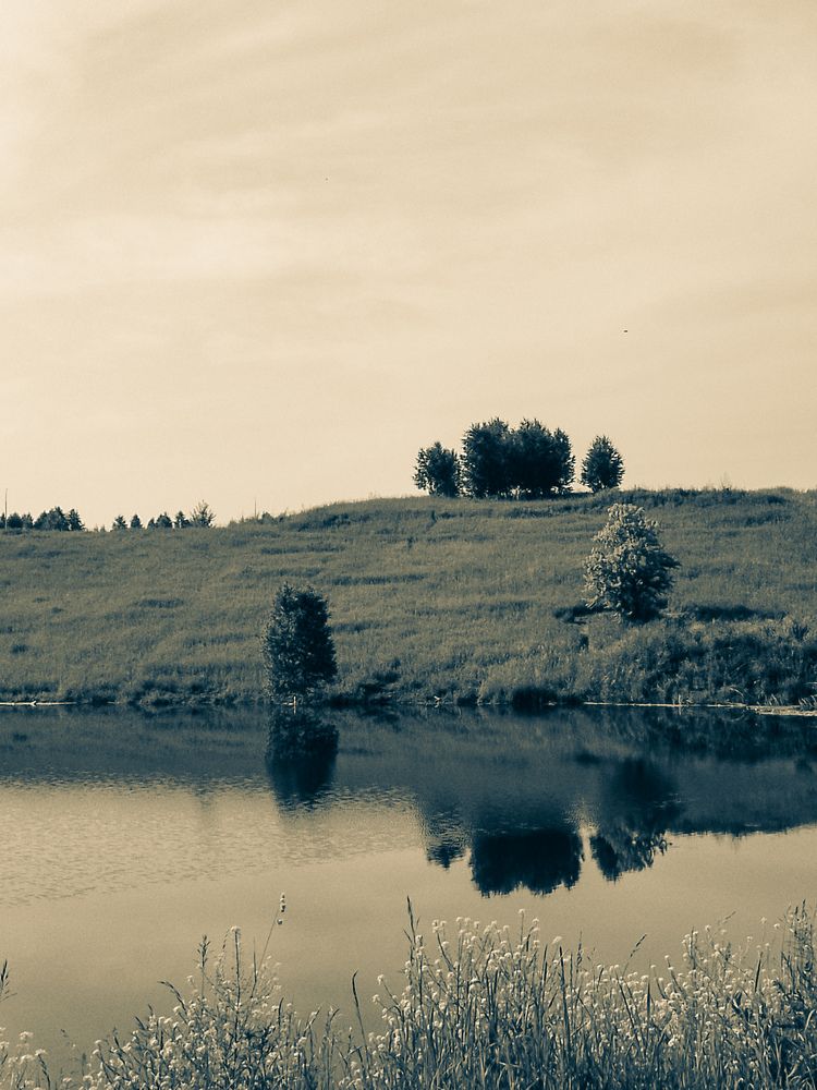 Photo #12302288