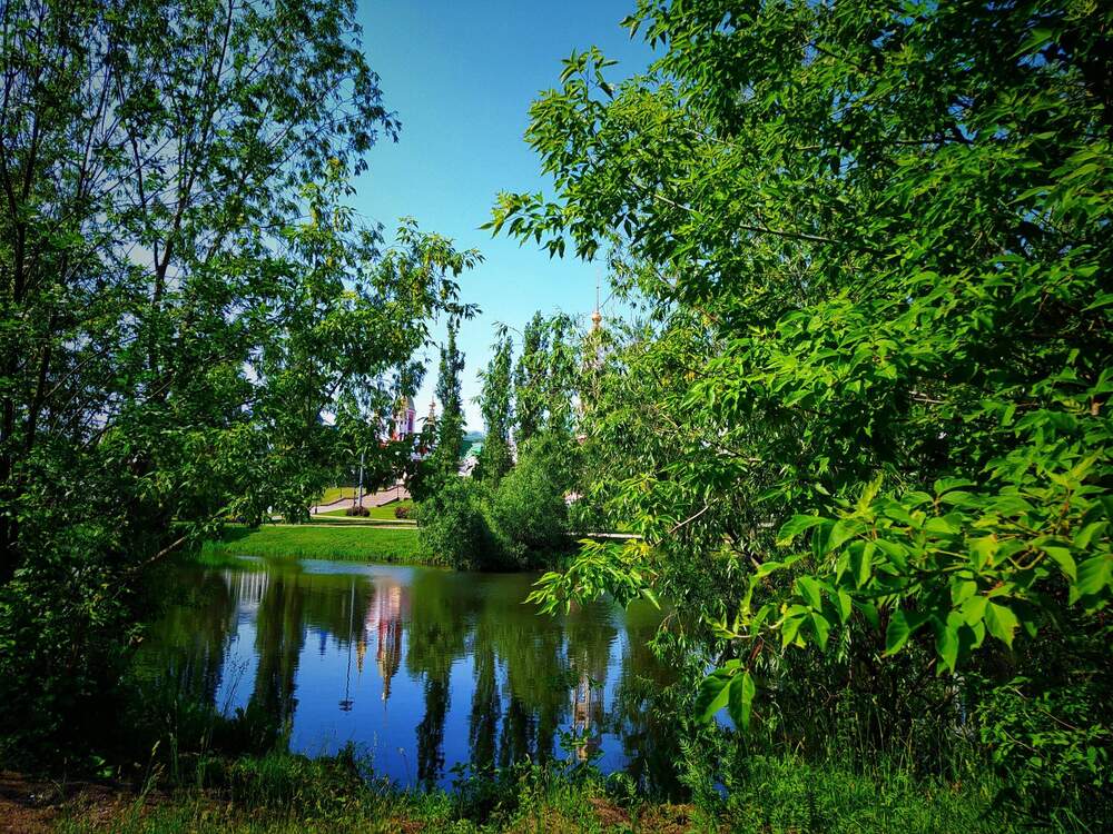 Photograph by Настя Настена