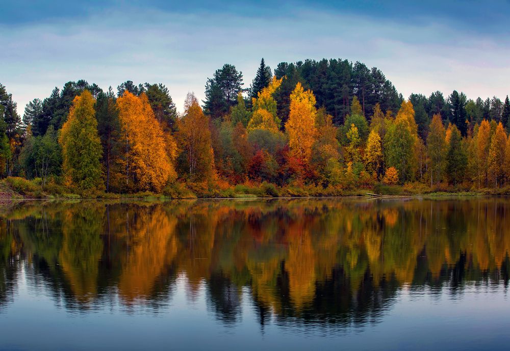 Краски Севера.