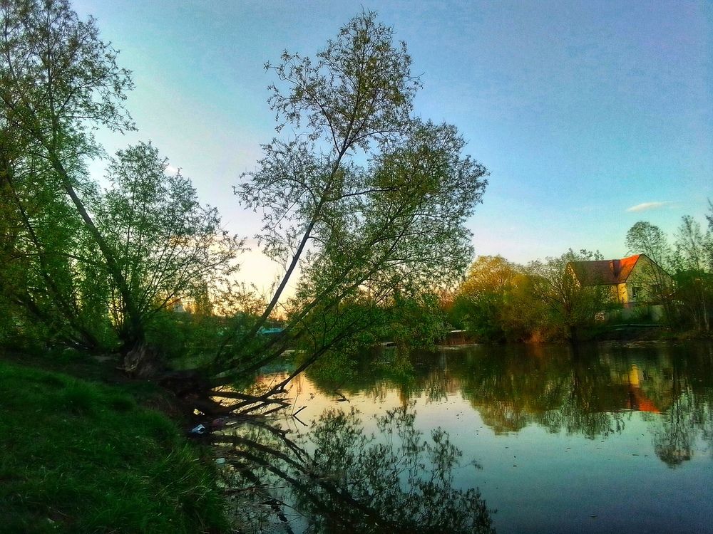 Photograph by Настя Настена