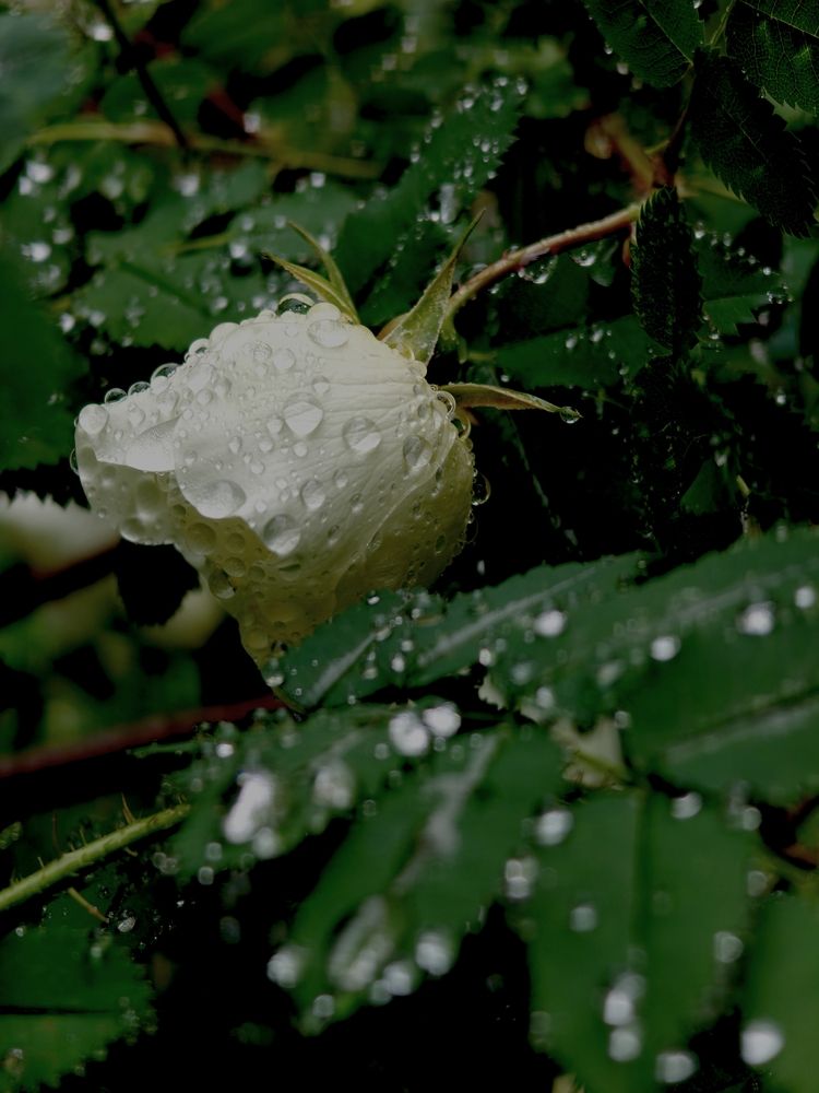 Photograph by Дарина Ворошилова