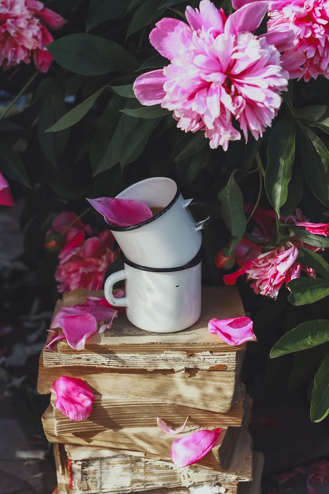 Photograph by Юлия Соболева