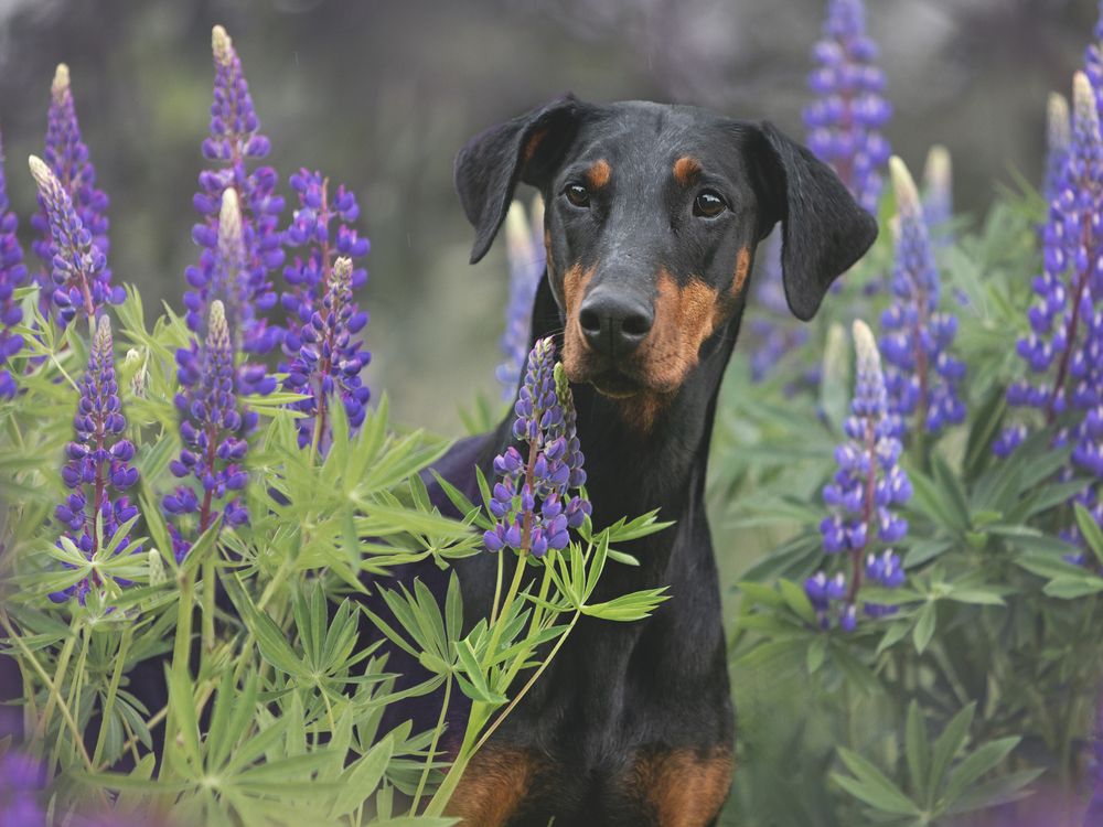 Фотография автора Мария Клещенко