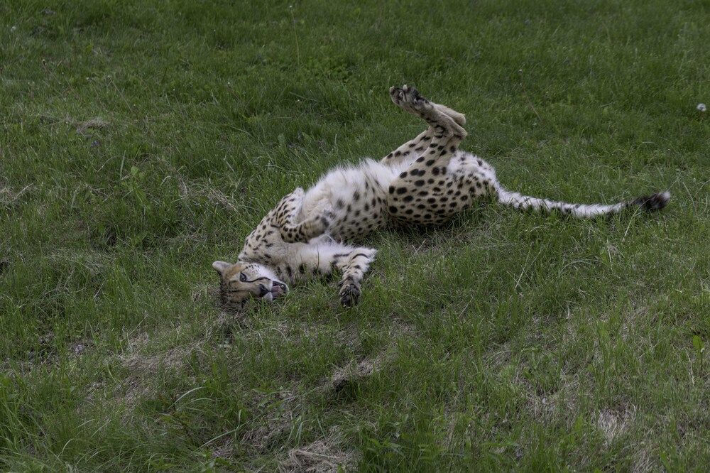 Photograph by ALI Pashang